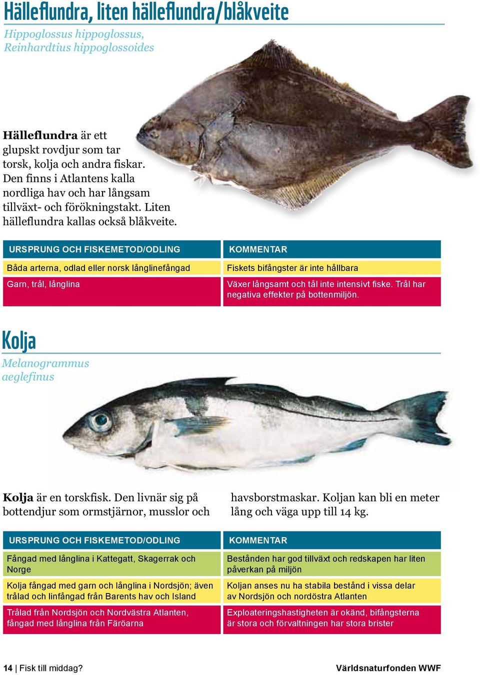 Båda arterna, odlad eller norsk långlinefångad Garn, trål, långlina Fiskets bifångster är inte hållbara Växer långsamt och tål inte intensivt fiske. Trål har negativa effekter på bottenmiljön.