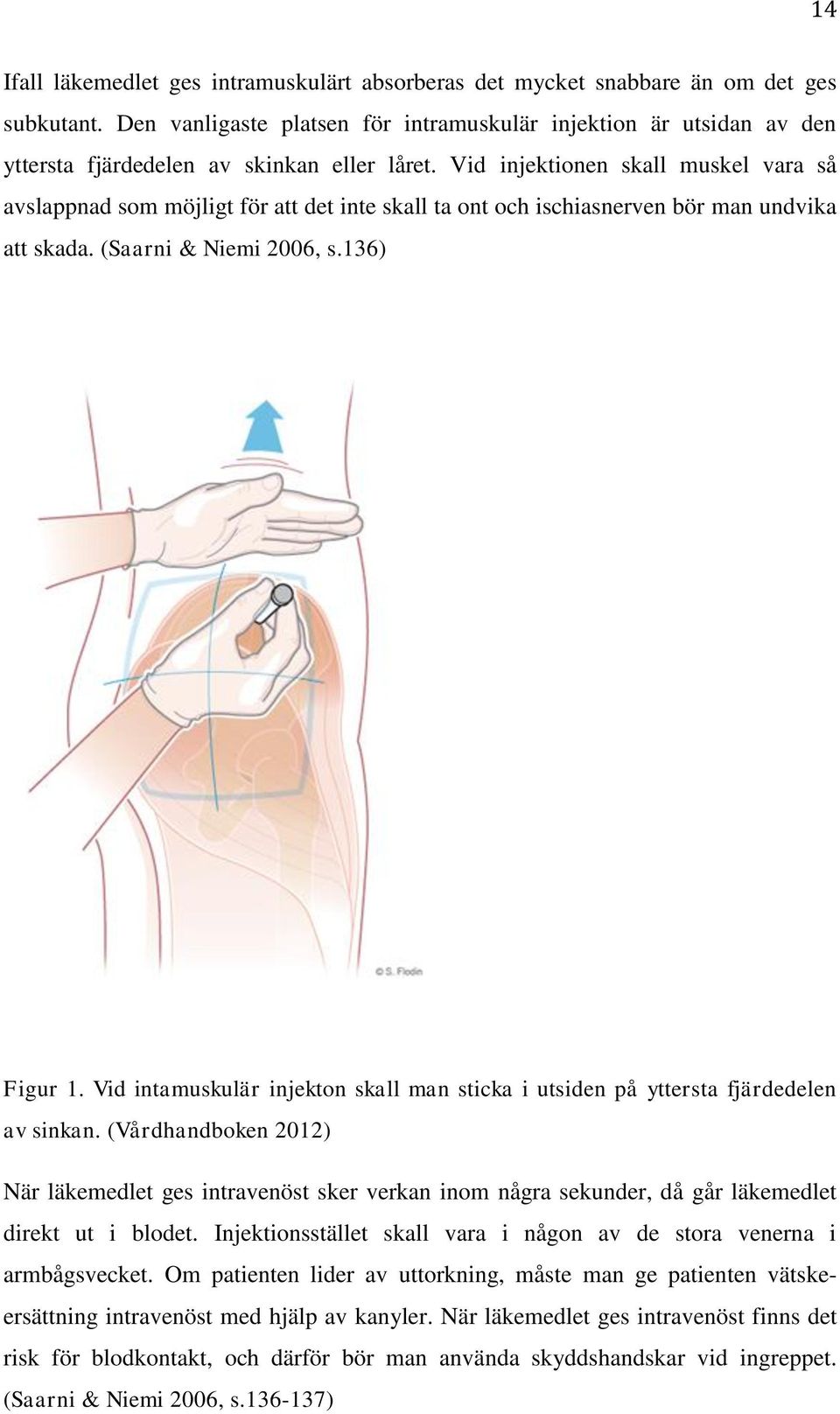 Vid injektionen skall muskel vara så avslappnad som möjligt för att det inte skall ta ont och ischiasnerven bör man undvika att skada. (Saarni & Niemi 2006, s.136) Figur 1.