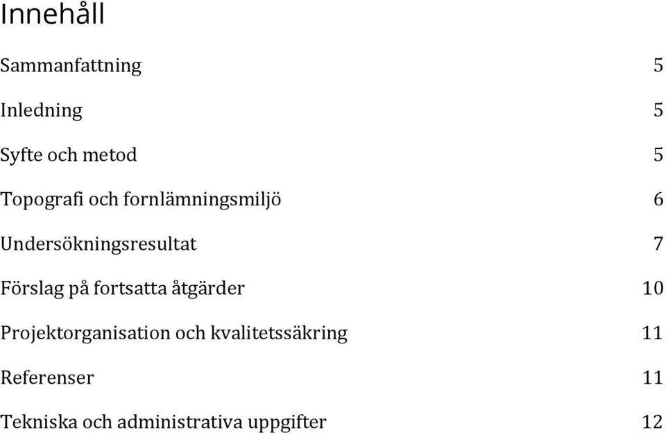 Förslag på fortsatta åtgärder 10 Projektorganisation och