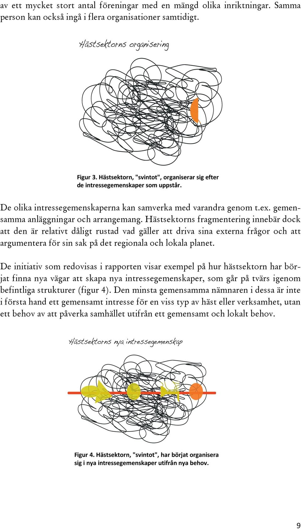 Hästsektorns fragmentering innebär dock att den är relativt dåligt rustad vad gäller att driva sina externa frågor och att argumentera för sin sak på det regionala och lokala planet.