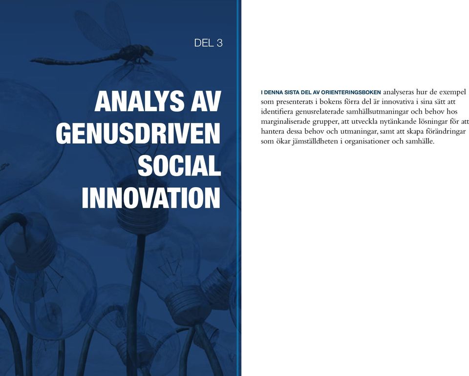 samhällsutmaningar och behov hos marginaliserade grupper, att utveckla nytänkande lösningar för att