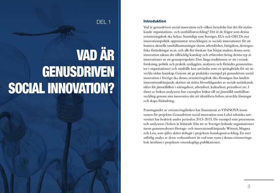 Samtidigt som Sveriges, EUs och OECDs nya innovationspolitik uppmuntrar utvecklingen av sociala innovationer för att hantera aktuella samhällsutmaningar såsom arbetslöshet, fattigdom, demografiska