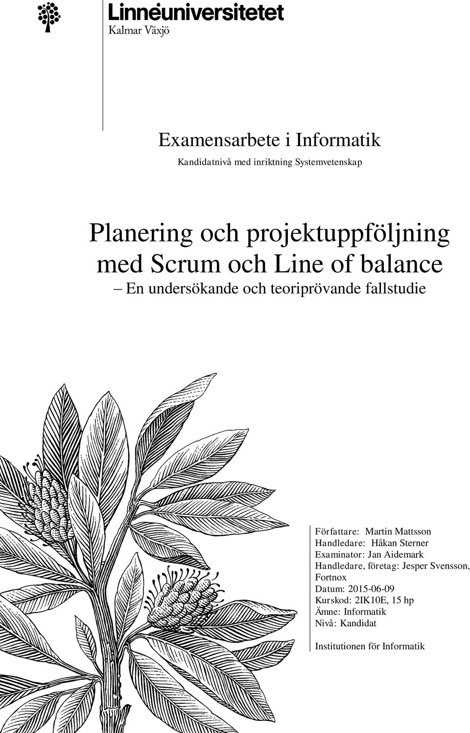 Författare: Martin Mattsson Handledare: Håkan Sterner Examinator: Jan Aidemark Handledare, företag: