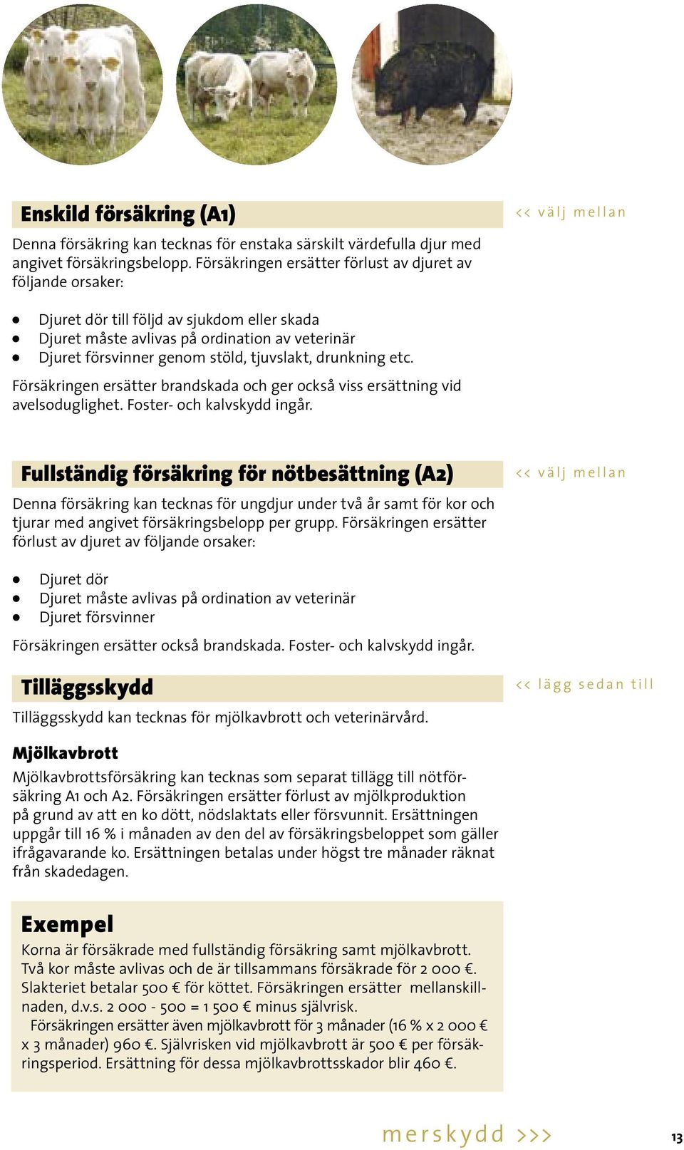 genom stöld, tjuvslakt, drunkning etc. Försäkringen ersätter brandskada och ger också viss ersättning vid avelsoduglighet. Foster- och kalvskydd ingår.