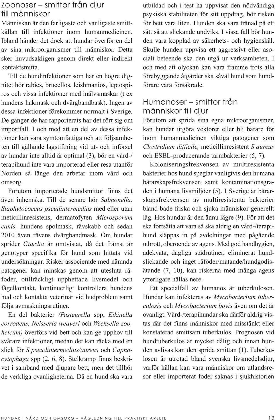 Till de hundinfektioner som har en högre dignitet hör rabies, brucellos, leishmanios, leptospiros och vissa infektioner med inälvsmaskar (t ex hundens hakmask och dvärgbandbask).