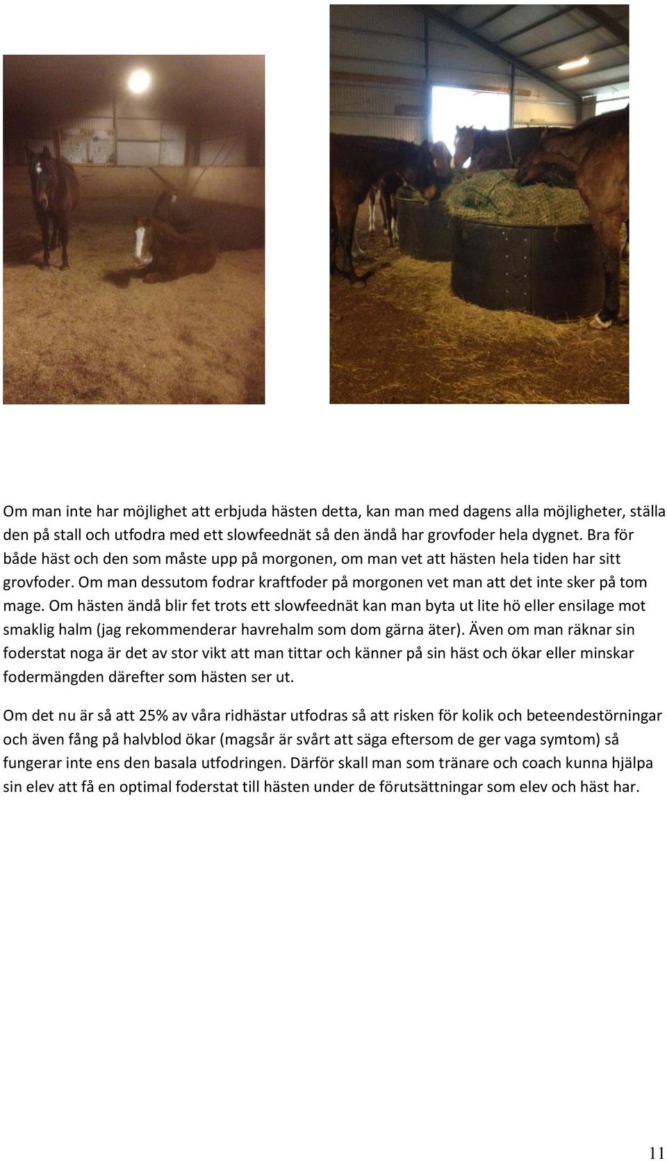 Om hästen ändå blir fet trots ett slowfeednät kan man byta ut lite hö eller ensilage mot smaklig halm (jag rekommenderar havrehalm som dom gärna äter).