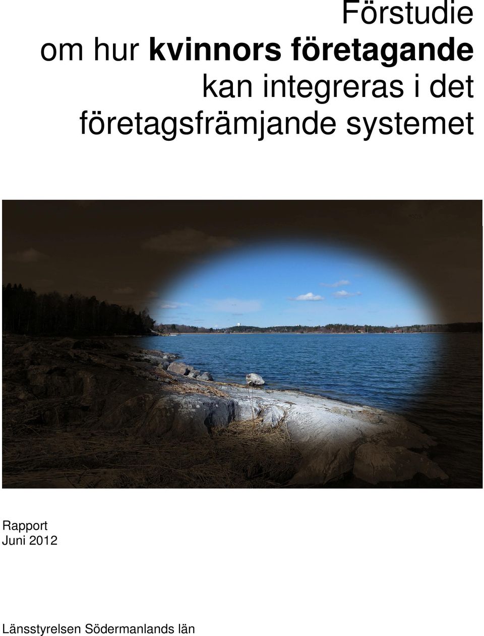 företagsfrämjande systemet