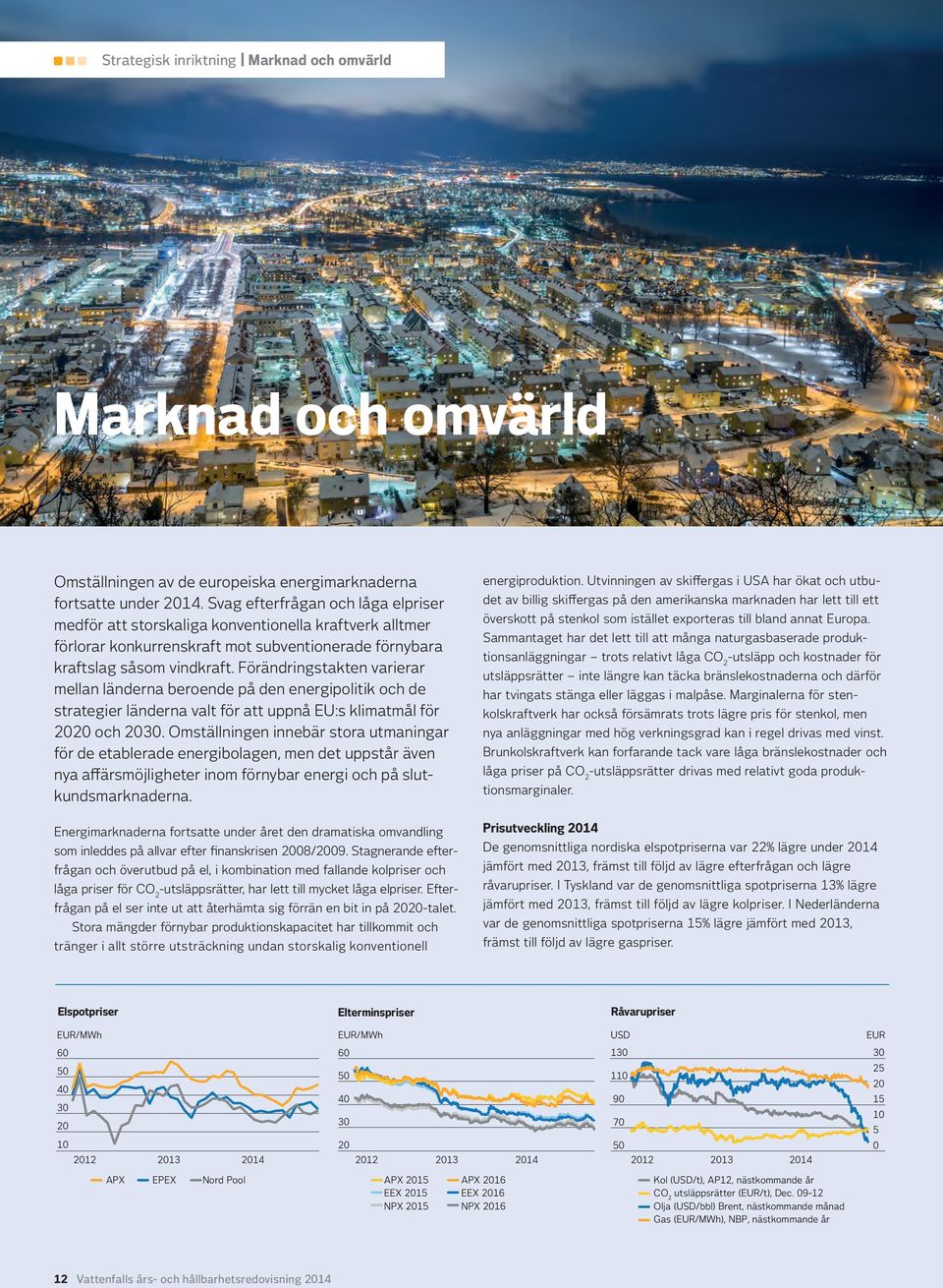 Förändringstakten varierar mellan länderna beroende på den energipolitik och de strategier länderna valt för att uppnå EU:s klimatmål för 2020 och 2030.