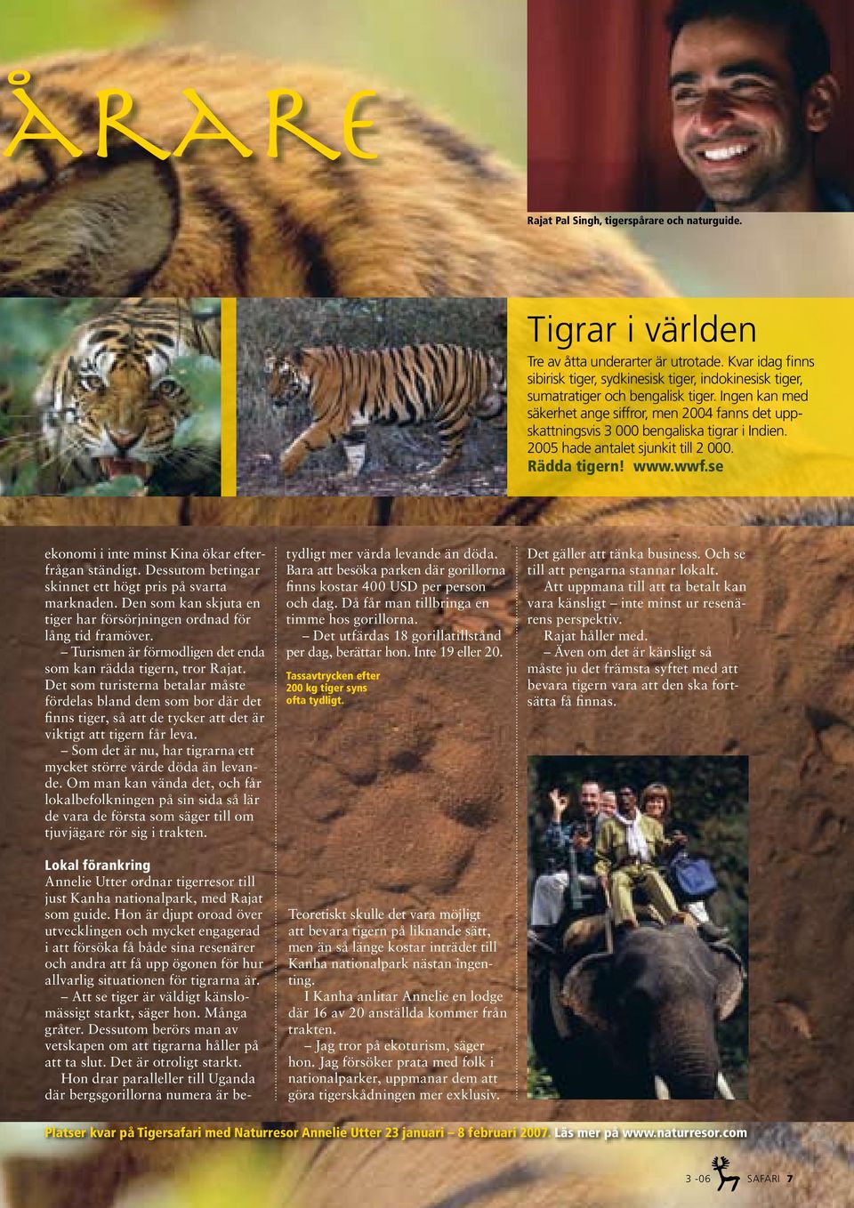 Ingen kan med säkerhet ange siffror, men 2004 fanns det uppskattningsvis 3 000 bengaliska tigrar i Indien. 2005 hade antalet sjunkit till 2 000. Rädda tigern! www.wwf.