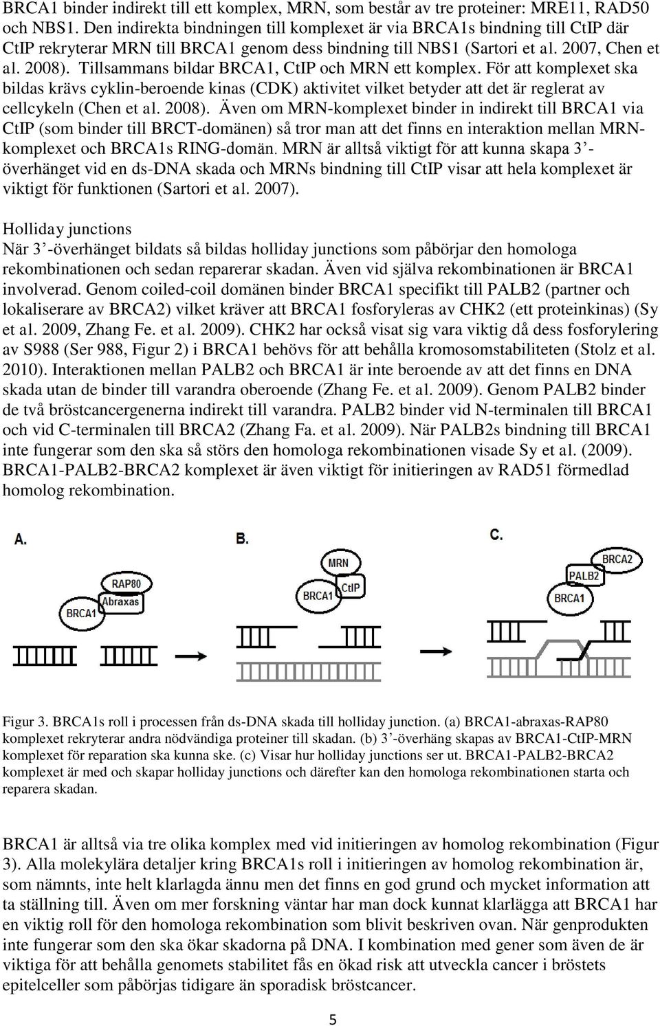 Tillsammans bildar BRCA1, CtIP och MRN ett komplex. För att komplexet ska bildas krävs cyklin-beroende kinas (CDK) aktivitet vilket betyder att det är reglerat av cellcykeln (Chen et al. 2008).