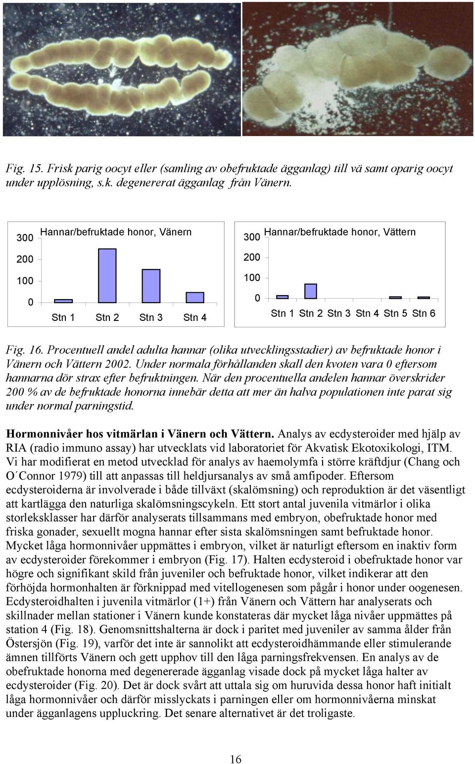 Procentuell andel adulta hannar (olika utvecklingsstadier) av befruktade honor i Vänern och ern 22. Under normala förhållanden skall den kvoten vara eftersom hannarna dör strax efter befruktningen.