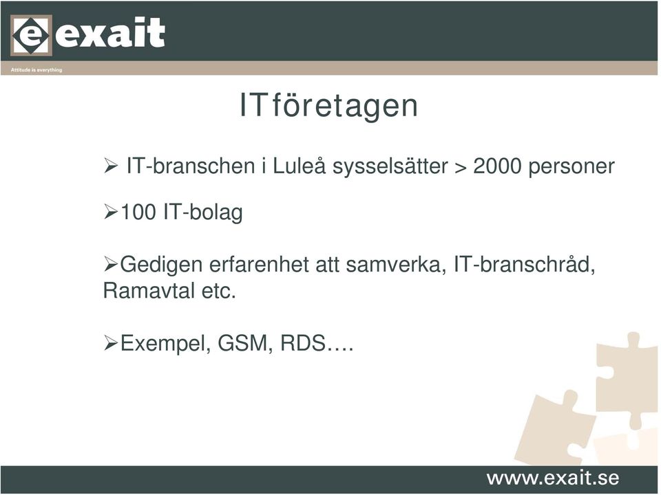 IT-bolag Gedigen erfarenhet att