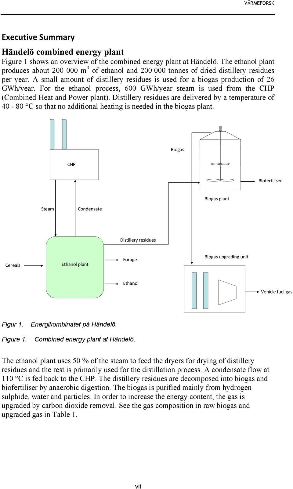 For the ethanol process, 600 GWh/year steam is used from the CHP (Combined Heat and Power plant).