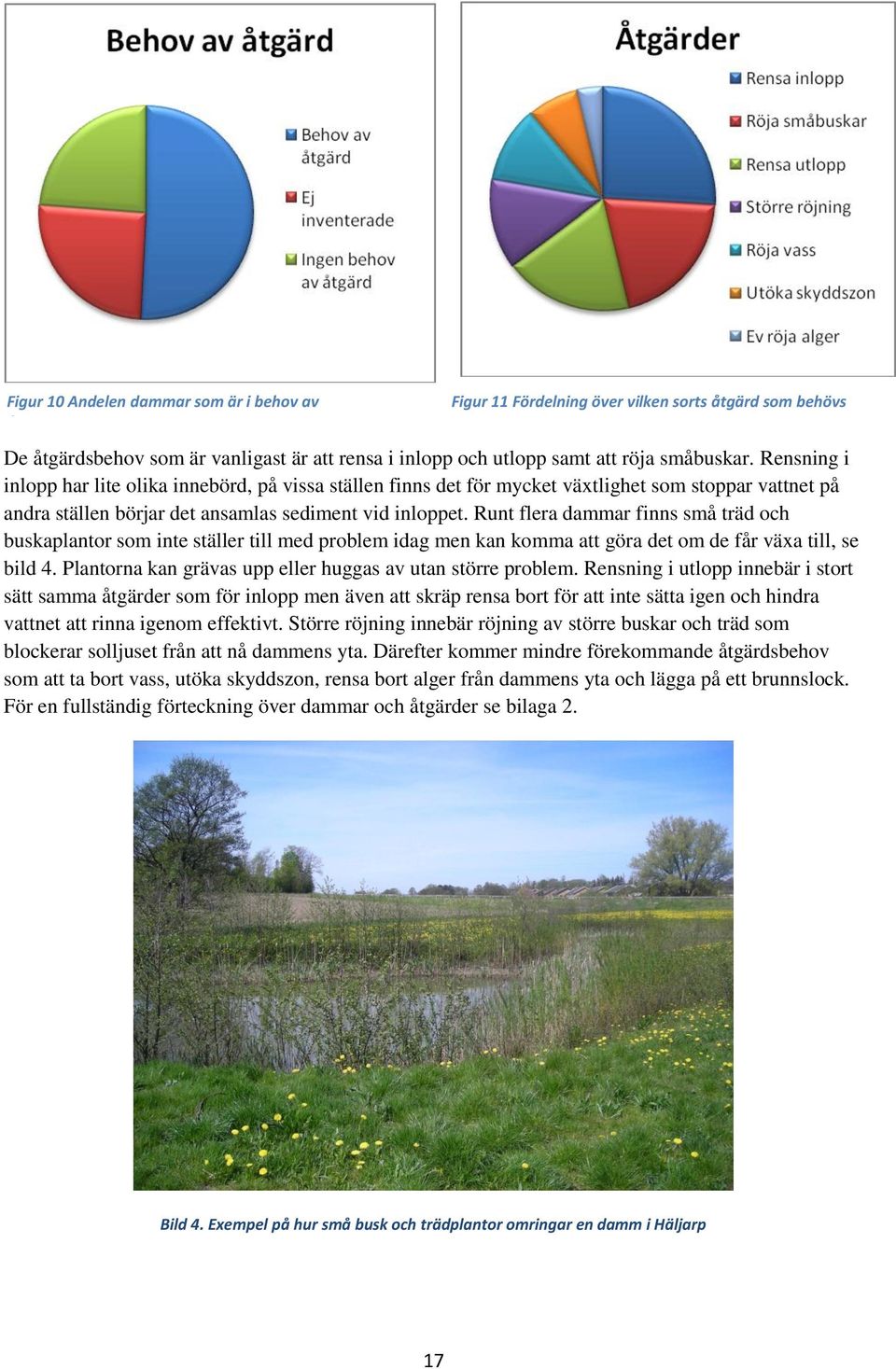 Runt flera dammar finns små träd och buskaplantor som inte ställer till med problem idag men kan komma att göra det om de får växa till, se bild 4.