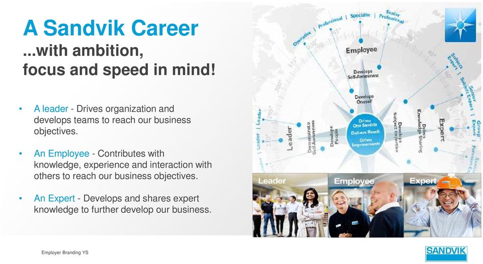 An Employee - Contributes with knowledge, experience and interaction with others to reach