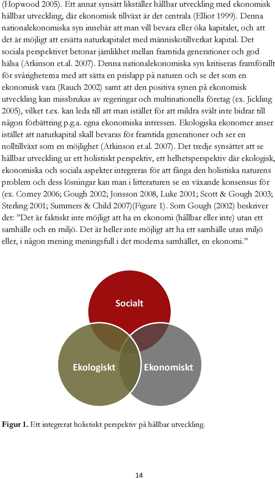 Det sociala perspektivet betonar jämlikhet mellan framtida generationer och god hälsa (Atkinson et.al. 2007).