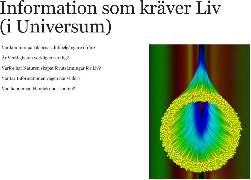 Är Verkligheten verkligen verklig?