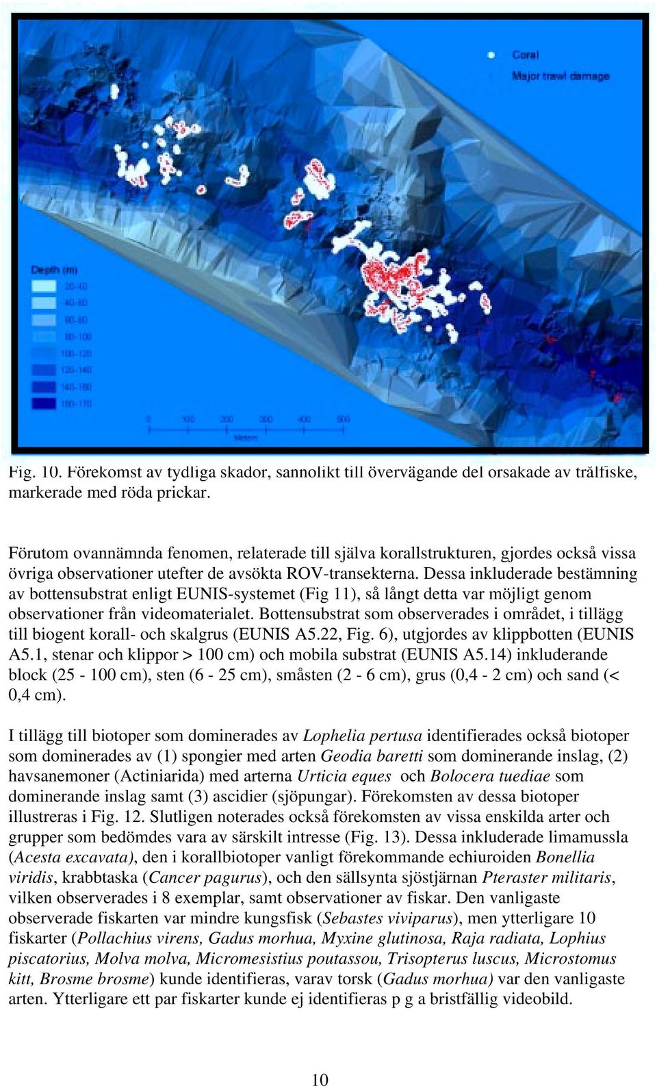 Dessa inkluderade bestämning av bottensubstrat enligt EUNIS-systemet (Fig 11), så långt detta var möjligt genom observationer från videomaterialet.