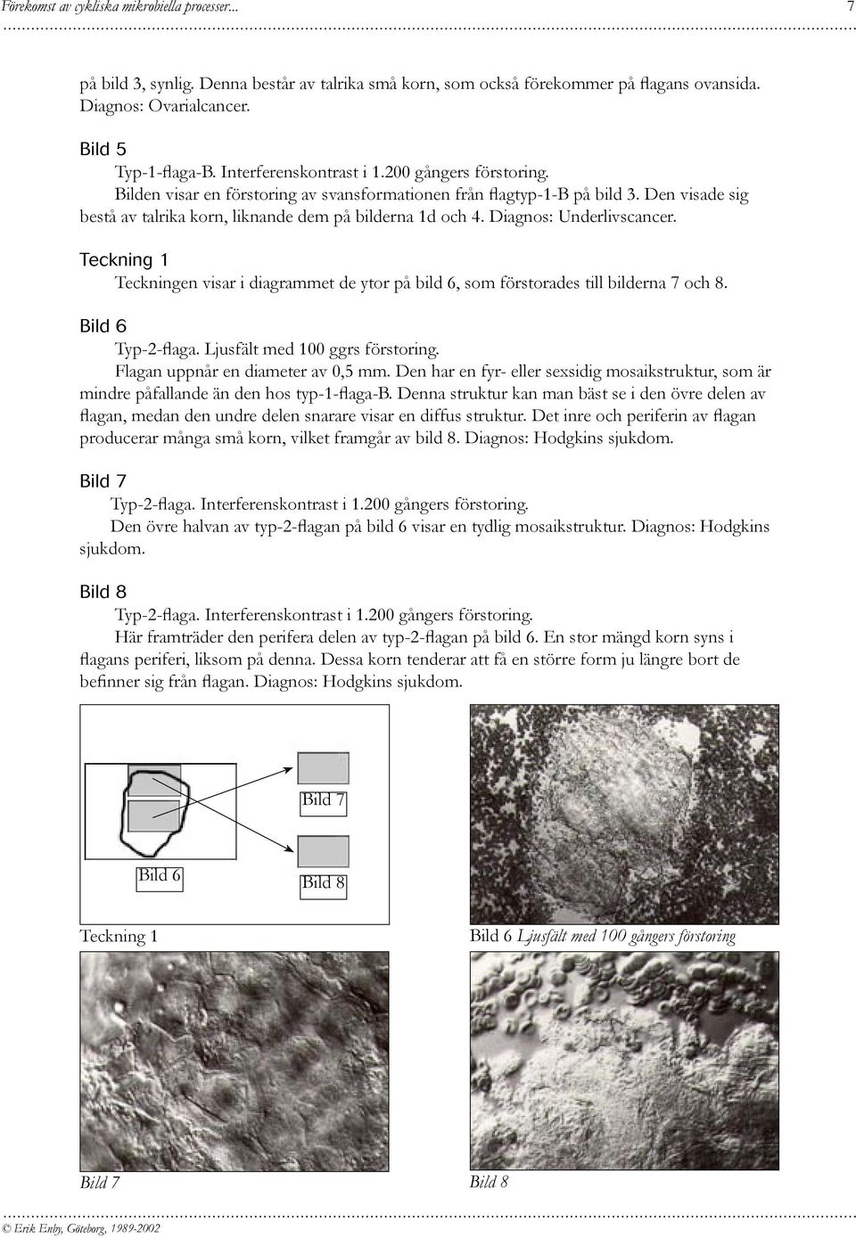 Teckning 1 Teckningen visar i diagrammet de ytor på bild 6, som förstorades till bilderna 7 och 8. Bild 6 Typ-2-flaga. Ljusfält med 100 ggrs förstoring. Flagan uppnår en diameter av 0,5 mm.