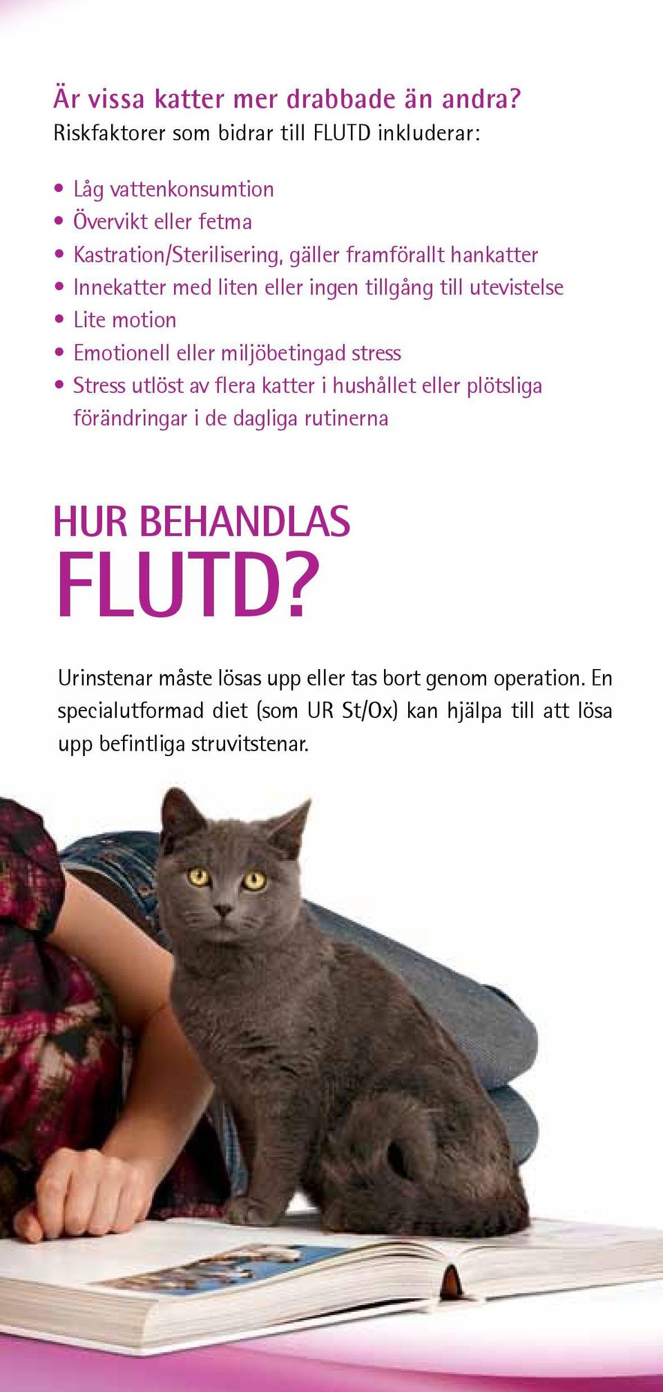 hankatter Innekatter med liten eller ingen tillgång till utevistelse Lite motion Emotionell eller miljöbetingad stress Stress utlöst av