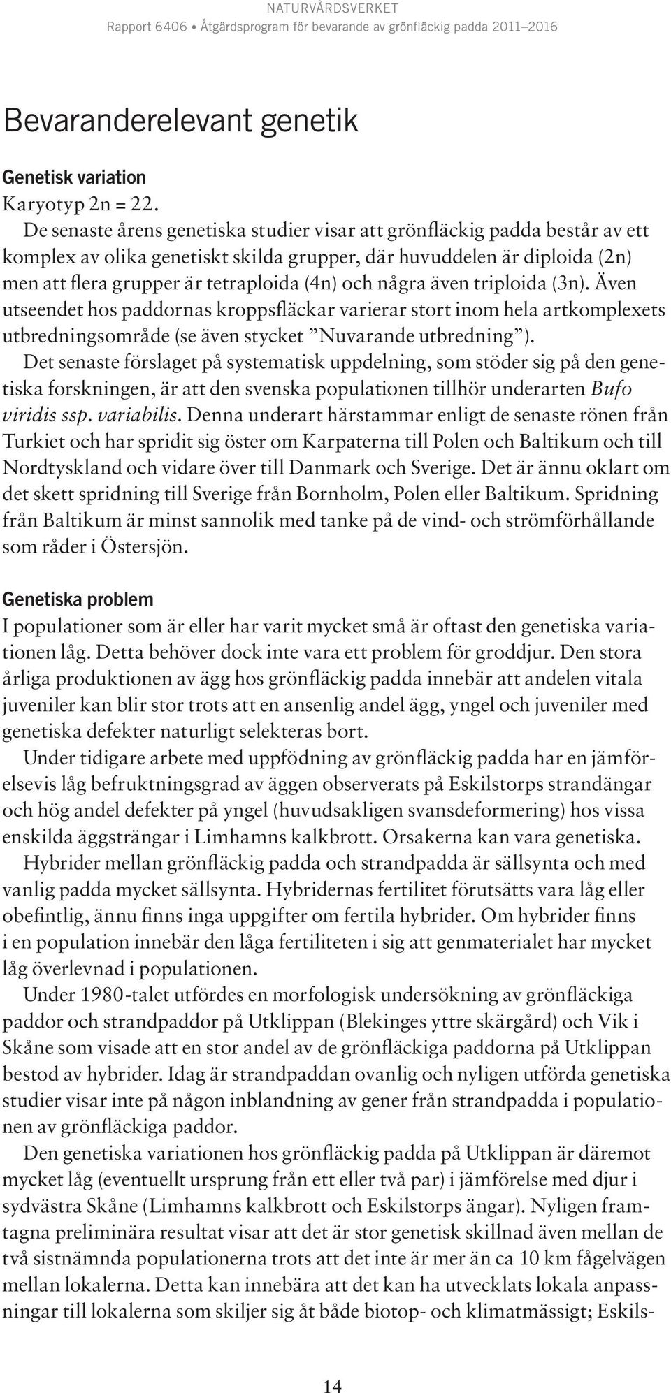 några även triploida (3n). Även utseendet hos paddornas kroppsfläckar varierar stort inom hela artkomplexets utbredningsområde (se även stycket Nuvarande utbredning ).