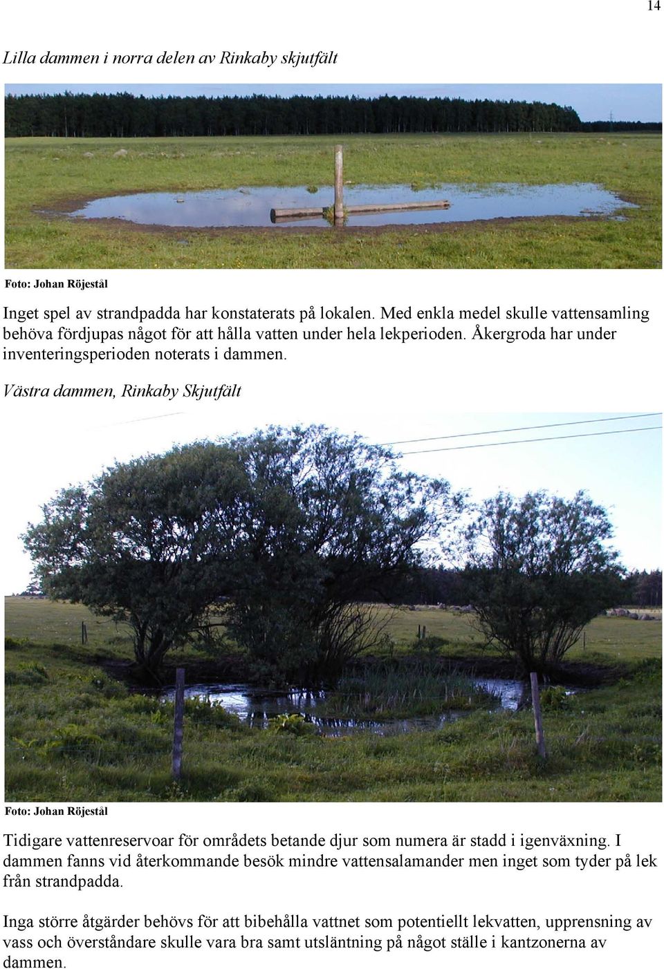 Västra dammen, Rinkaby Skjutfält Foto: Johan Röjestål Tidigare vattenreservoar för områdets betande djur som numera är stadd i igenväxning.