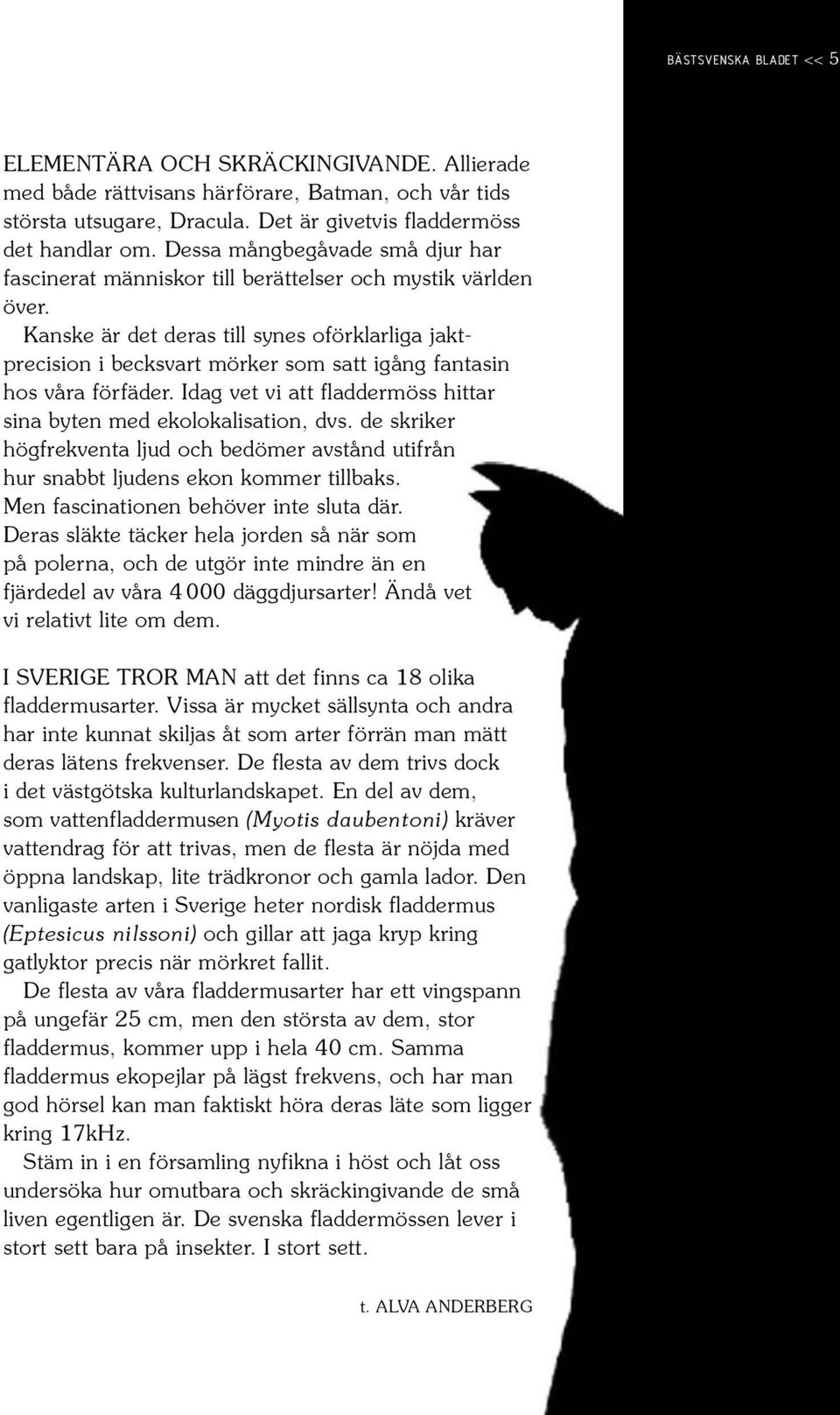 Kanske är det deras till synes oförklarliga jaktprecision i becksvart mörker som satt igång fantasin hos våra förfäder. Idag vet vi att fladdermöss hittar sina byten med ekolokalisation, dvs.