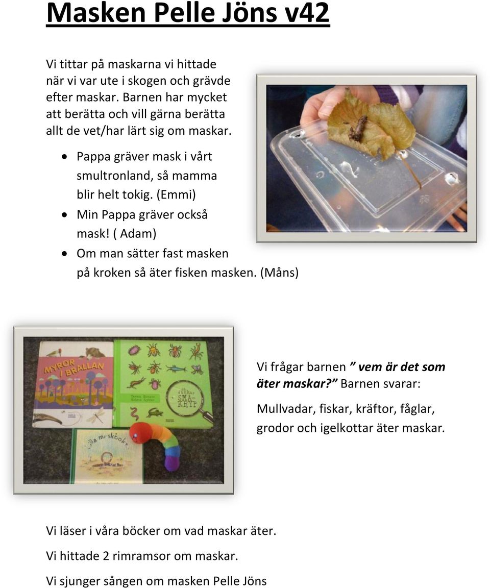 (Emmi) Min Pappa gräver också mask! ( Adam) Om man sätter fast masken på kroken så äter fisken masken. (Måns) Vi frågar barnen vem är det som äter maskar?