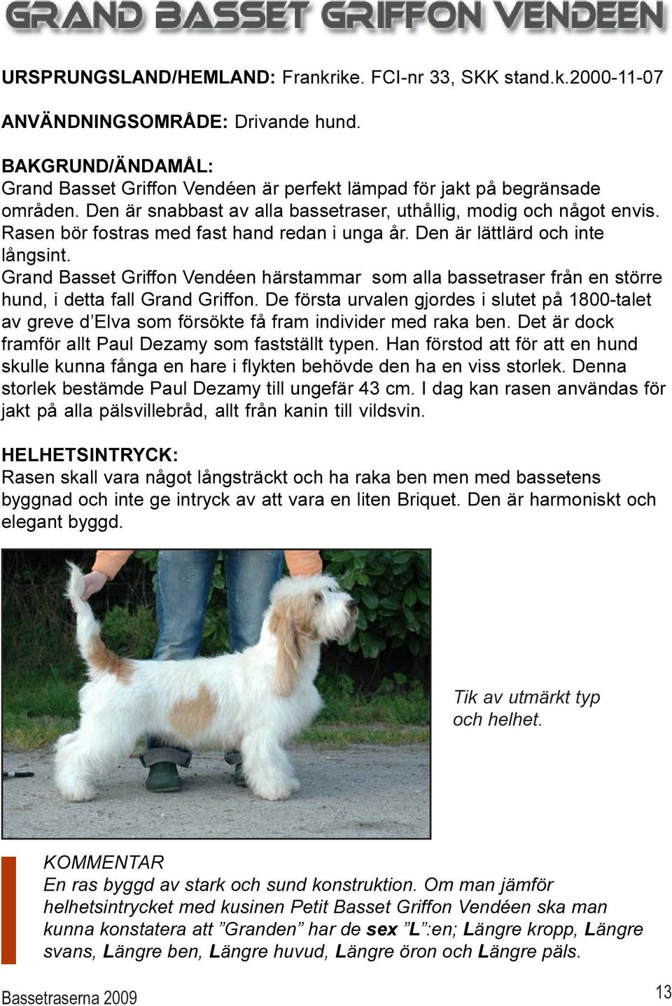 Grand Basset Griffon Vendéen härstammar som alla bassetraser från en större hund, i detta fall Grand Griffon.