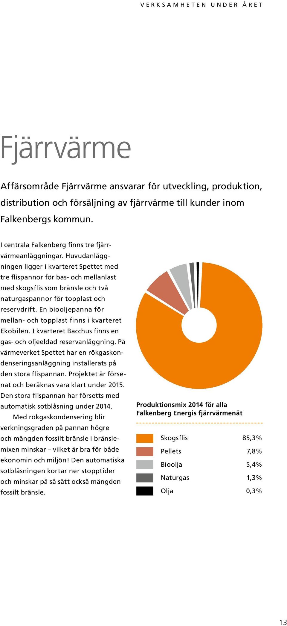 Huvudanläggningen ligger i kvarteret Spettet med tre flispannor för bas- och mellanlast med skogsflis som bränsle och två naturgaspannor för topplast och reservdrift.