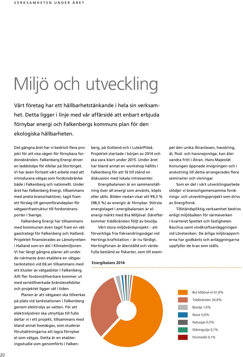 Det gångna året har vi bedrivit flera projekt för att visa vägen för förnybara fordonsbränslen. Falkenberg Energi driver en laddstolpe för elbilar på Stortorget.