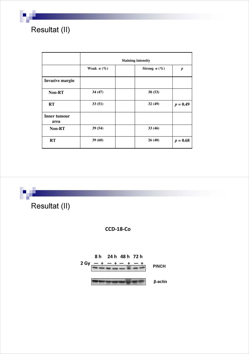 49 Inner tumour area Non-RT 39 (54) 33 (46) RT 39 (60) 26 (40) p