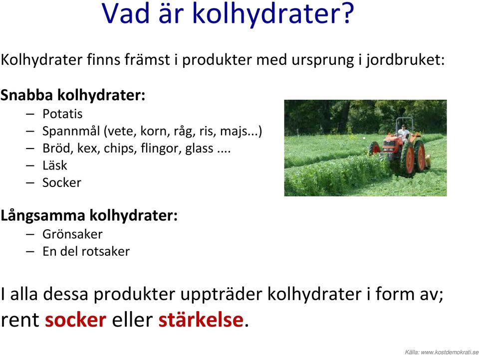 Potatis Spannmål (vete, korn, råg, ris, majs...) Bröd, kex, chips, flingor, glass.