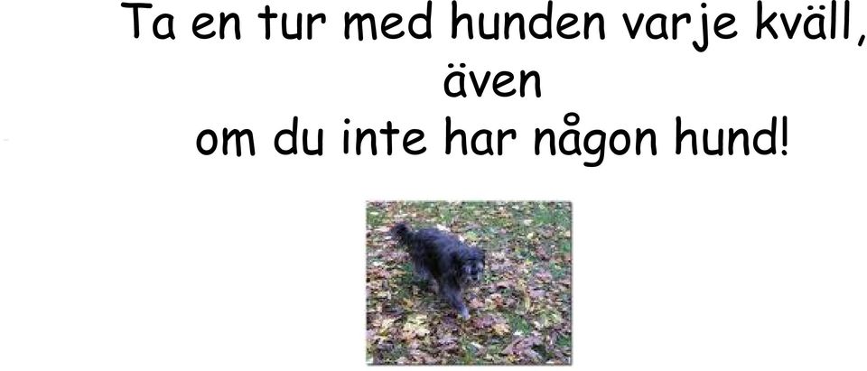 kväll, även om