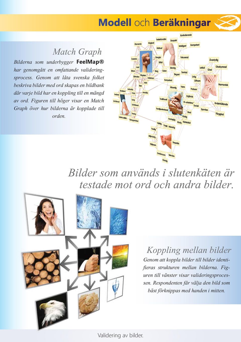 Figuren till höger visar en Match Graph över hur bilderna är kopplade till orden. Bilder som används i slutenkäten är testade mot ord och andra bilder.