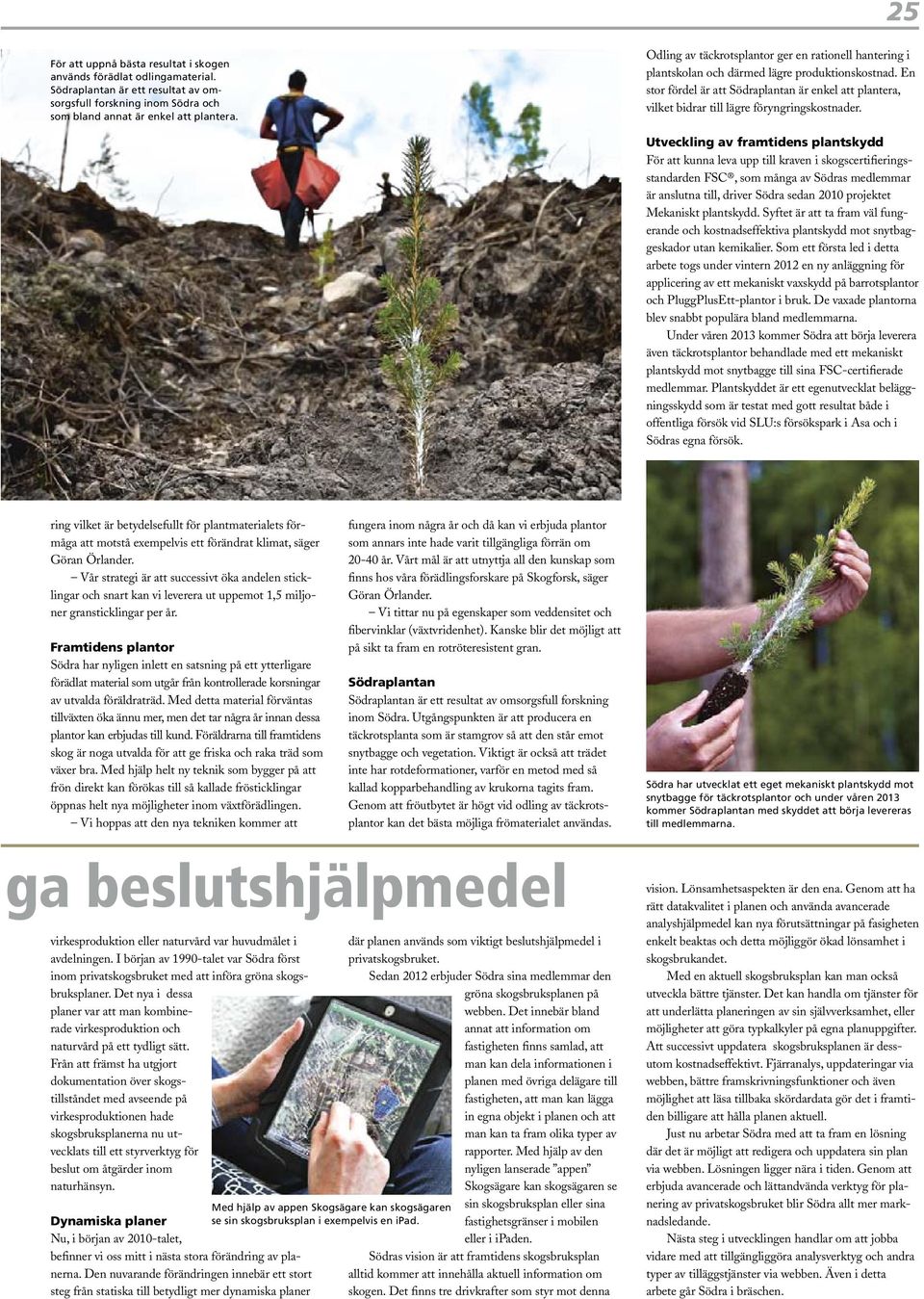 En stor fördel är att Södraplantan är enkel att plantera, vilket bidrar till lägre föryngringskostnader.