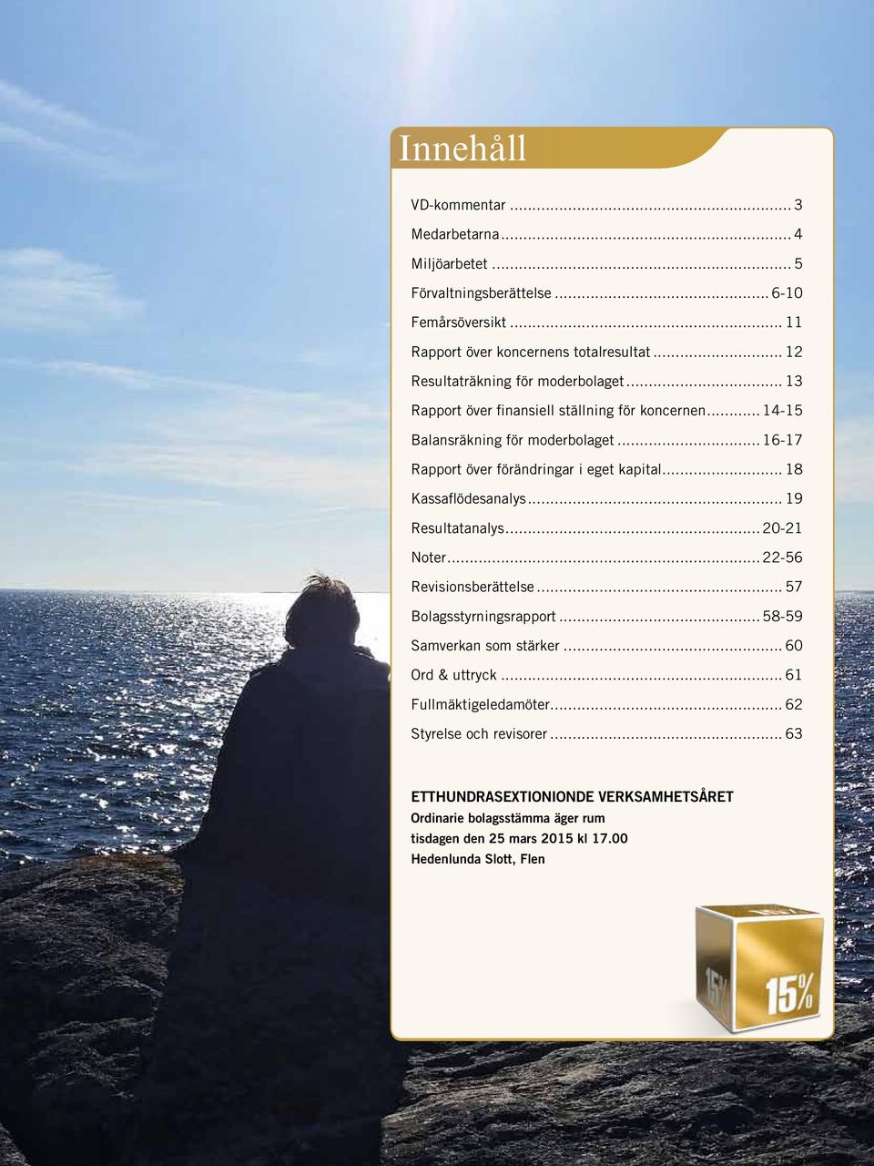 .. 16-17 Rapport över förändringar i eget kapital... 18 Kassaflödesanalys... 19 Resultatanalys... 20-21 Noter... 22-56 Revisionsberättelse... 57 Bolagsstyrningsrapport.