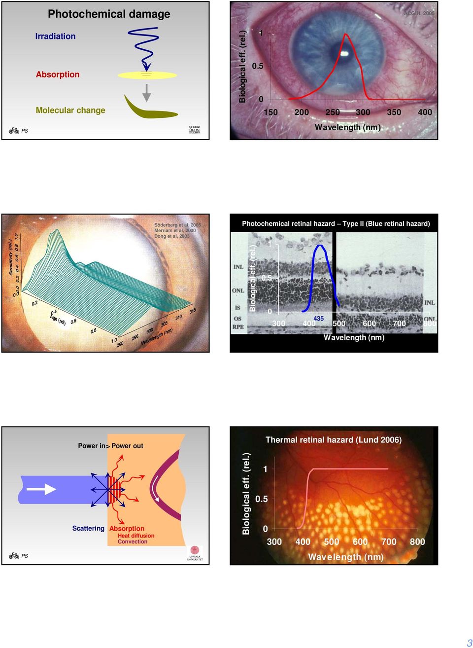 26 Merriam et al, 2 Dong et al, 23 Photochemical retinal hazard Type II (Blue retinal hazard) BluelightVsNoBlueLight Title Biological eff. (rel.