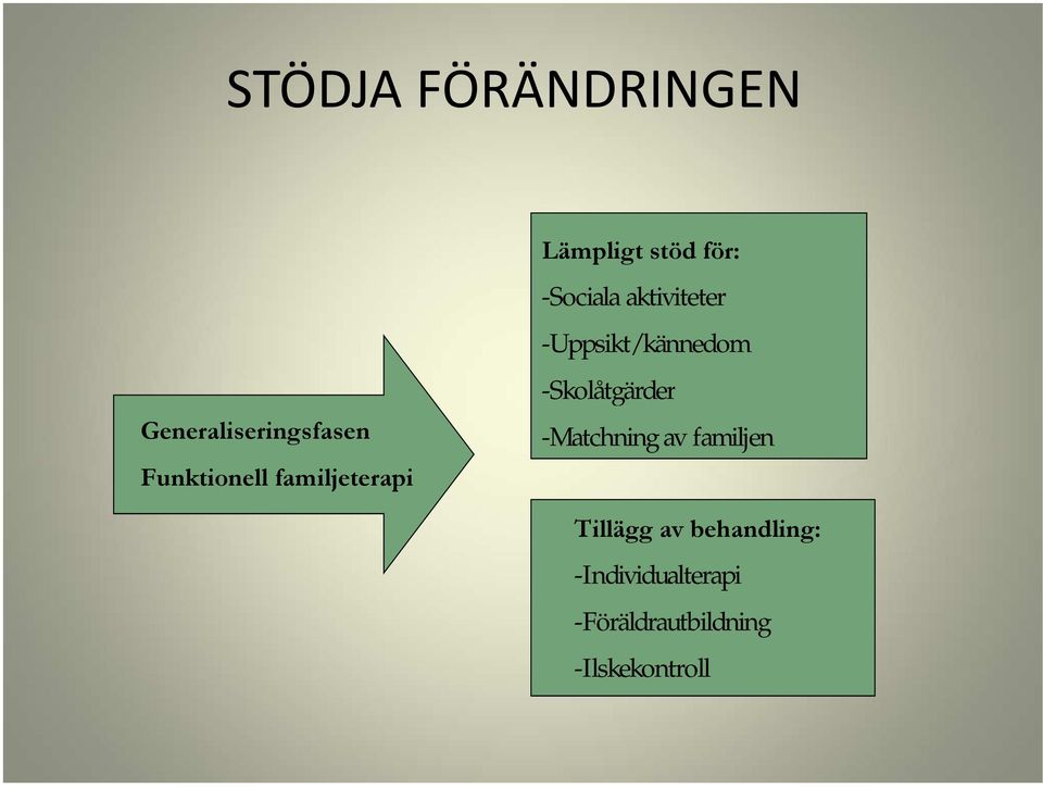 familjeterapi -Skolåtgärder -Matchning av familjen Tillägg