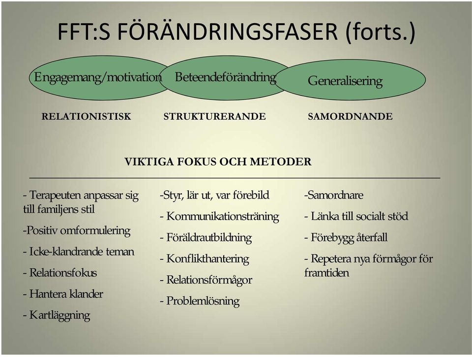 Terapeuten anpassar sig till familjens stil -Positiv omformulering - Icke-klandrande teman - Relationsfokus - Hantera klander -