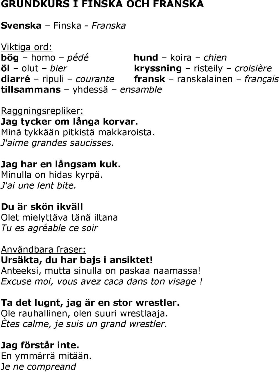 J'ai une lent bite. Du är skön ikväll Olet mielyttäva tänä iltana Tu es agréable ce soir Användbara fraser: Ursäkta, du har bajs i ansiktet! Anteeksi, mutta sinulla on paskaa naamassa!