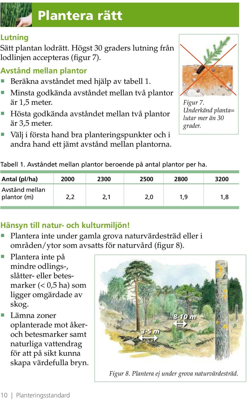 Välj i första hand bra planteringspunkter och i andra hand ett jämt avstånd mellan plantorna. Figur 7. Underkänd planta= lutar mer än 30 grader. Tabell 1.