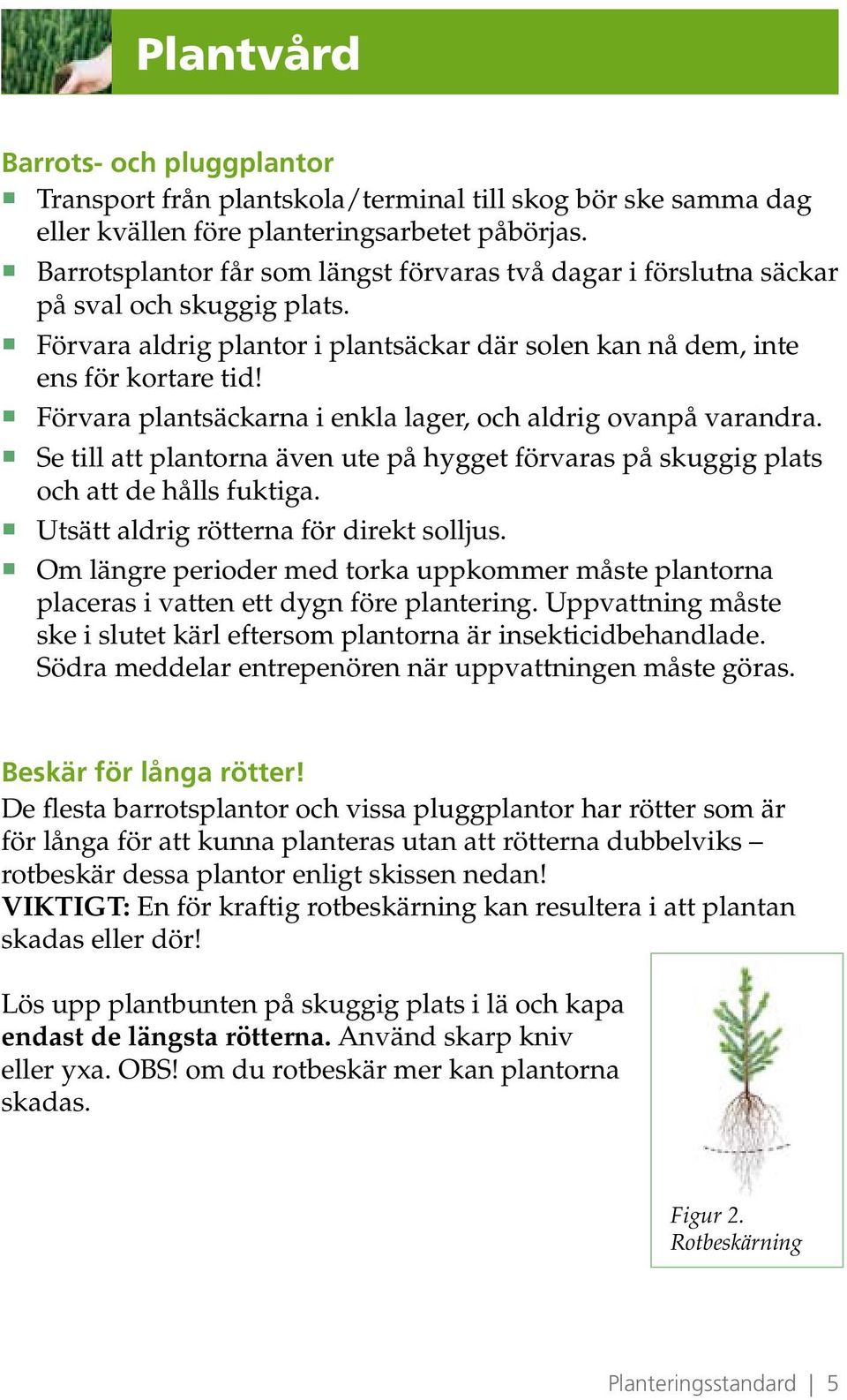 Förvara plantsäckarna i enkla lager, och aldrig ovanpå varandra. Se till att plantorna även ute på hygget förvaras på skuggig plats och att de hålls fuktiga. Utsätt aldrig rötterna för direkt solljus.