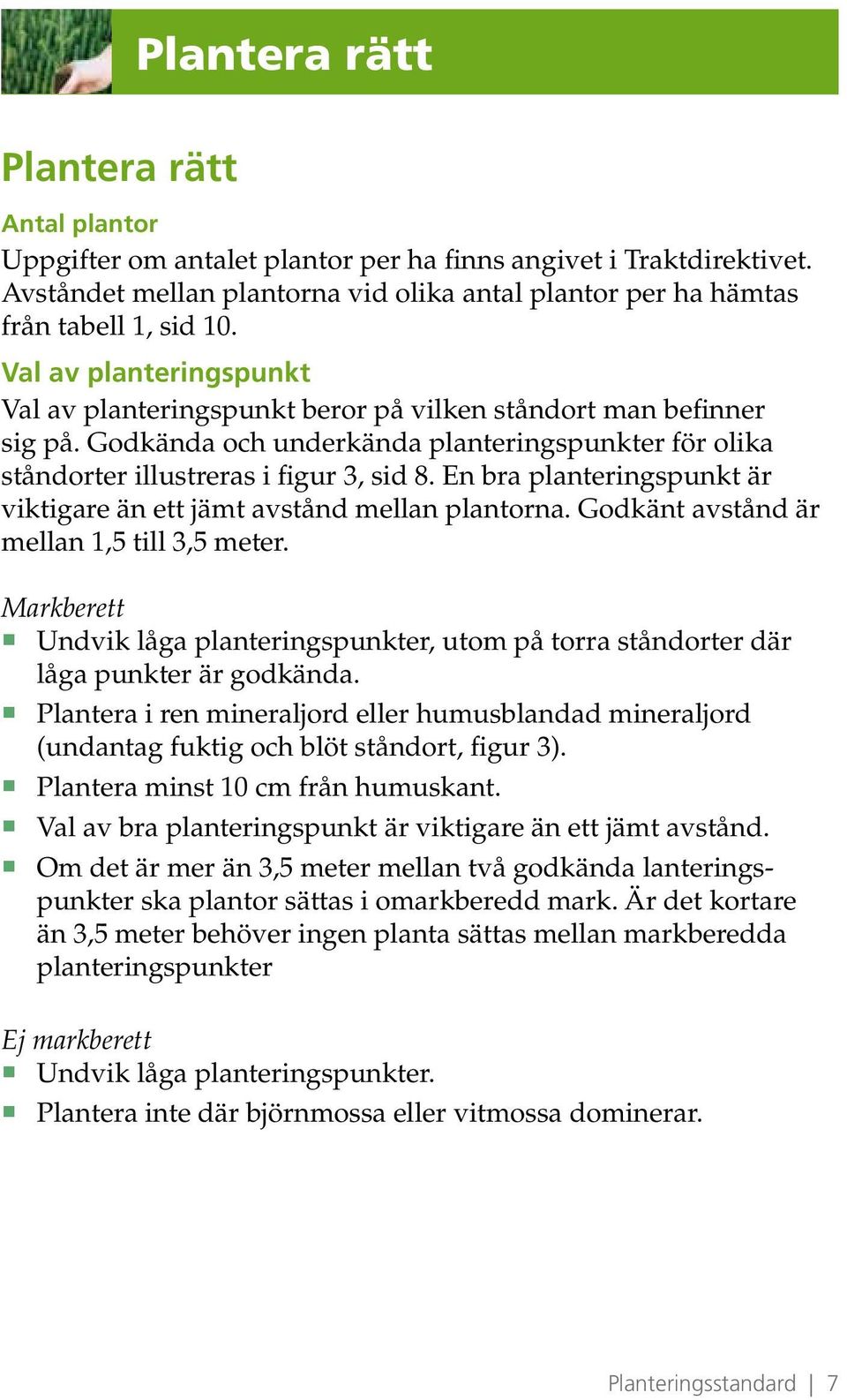 En bra planteringspunkt är viktigare än ett jämt avstånd mellan plantorna. Godkänt avstånd är mellan 1,5 till 3,5 meter.