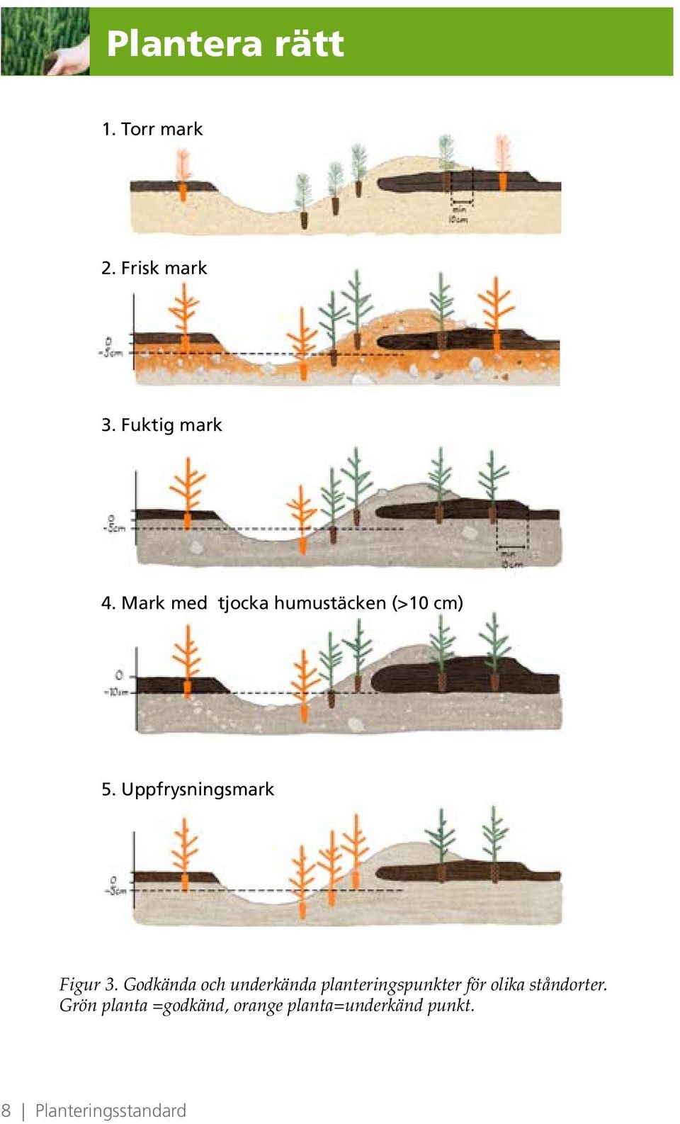 Godkända och underkända planteringspunkter för olika ståndorter.