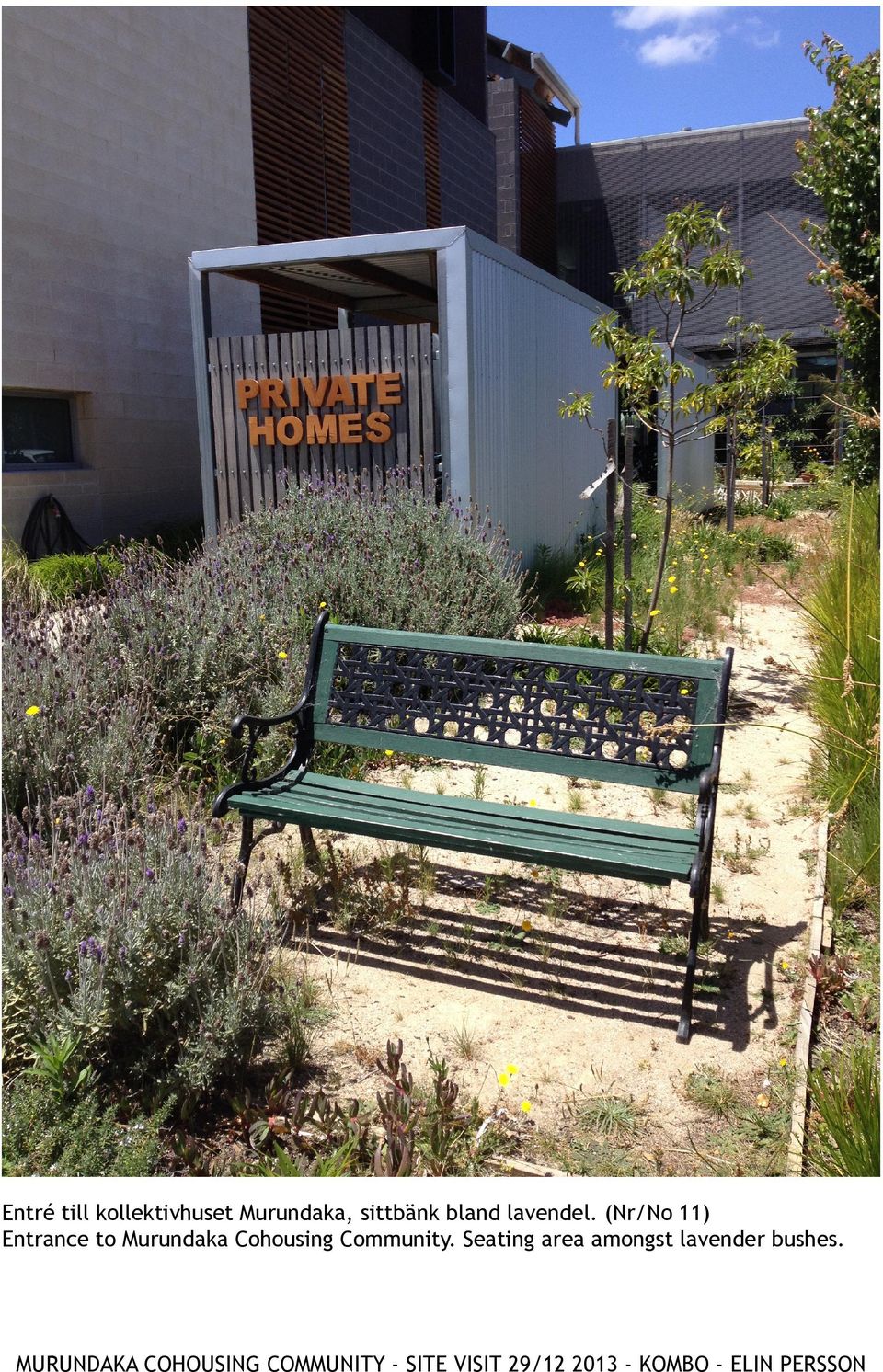 Seating area amongst lavender bushes.