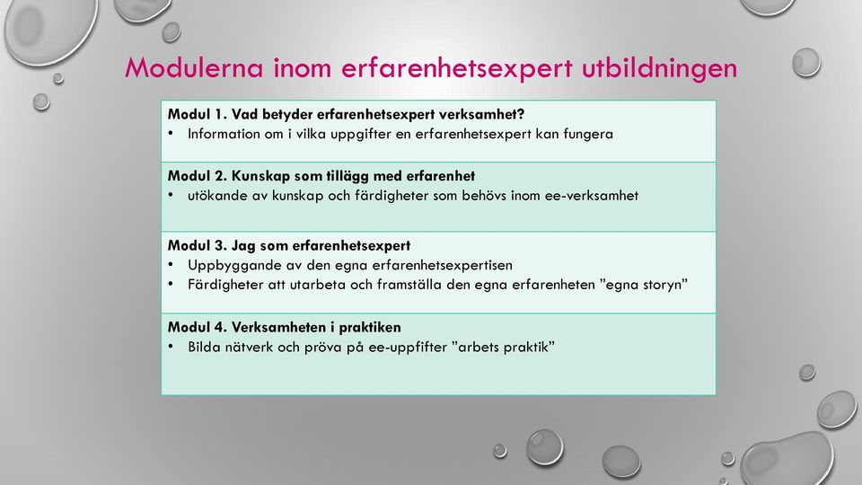 Kunskap som tillägg med erfarenhet utökande av kunskap och färdigheter som behövs inom ee-verksamhet Modul 3.