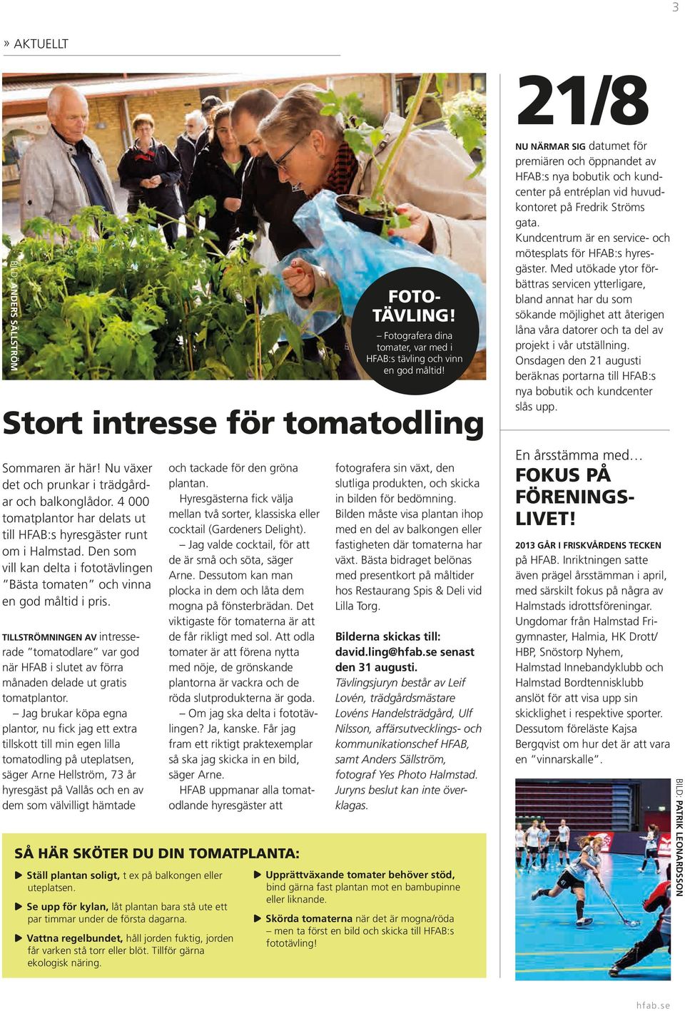 TILLSTRÖMNINGEN AV intresserade tomatodlare var god när HFAB i slutet av förra månaden delade ut gratis tomatplantor.