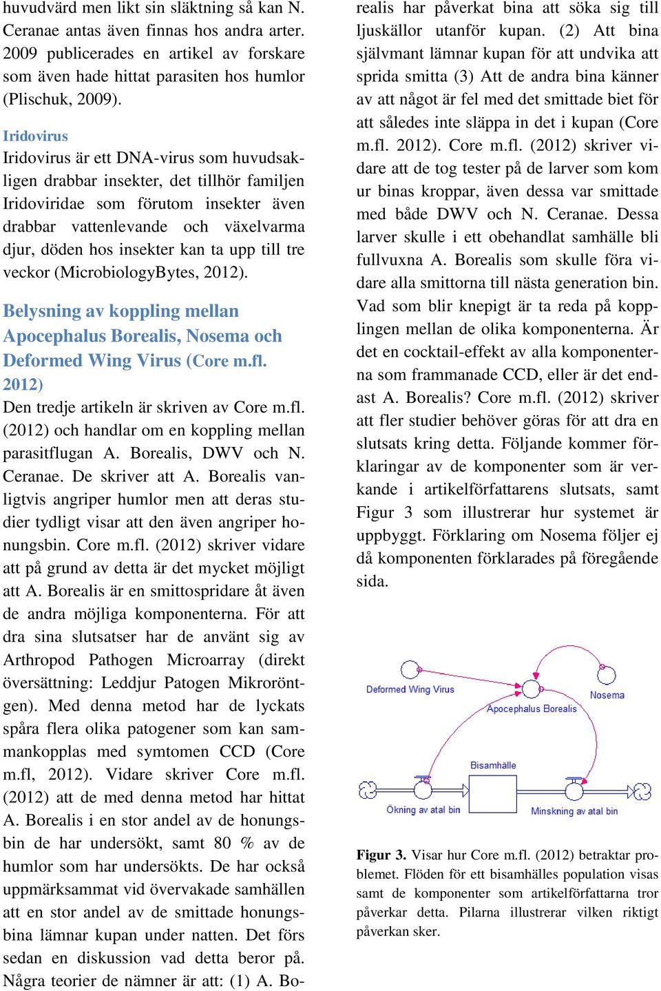 kan ta upp till tre veckor (MicrobiologyBytes, 2012). Belysning av koppling mellan Apocephalus Borealis, Nosema och Deformed Wing Virus (Core m.fl.