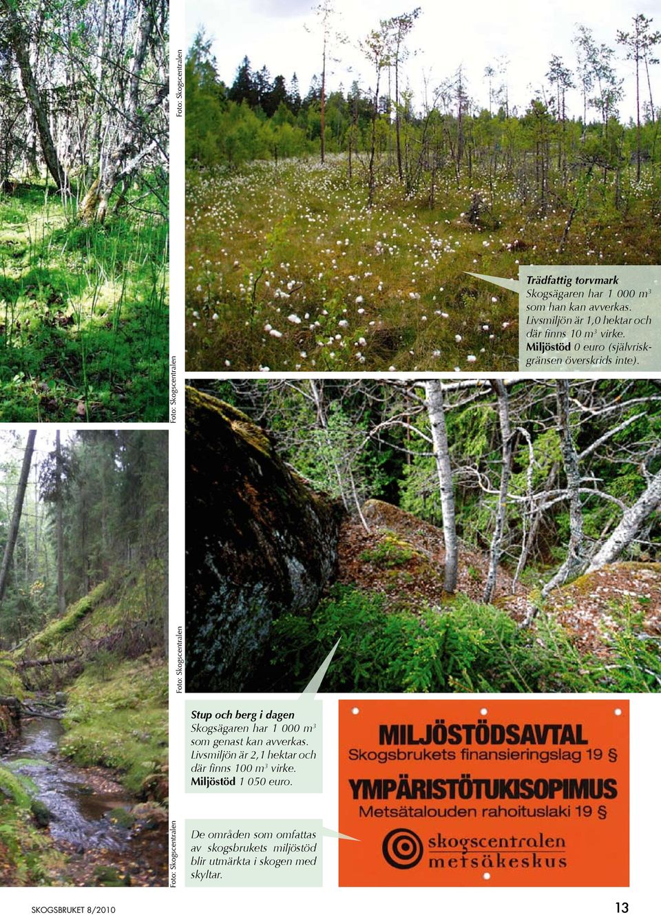 Stup och berg i dagen Skogsägaren har 1 000 m 3 som genast kan avverkas. Livsmiljön är 2,1 hektar och där finns 100 m 3 virke.